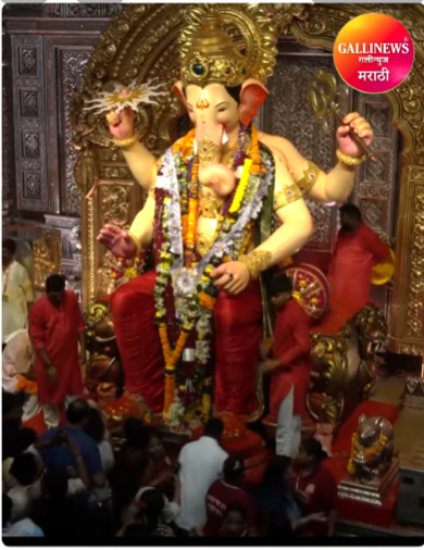 मुंबई, महाराष्ट्र सकाळच्या दर्शनासाठी लालबागच्या राजाच्या दर्शनाला भाविकांची मोठी गर्दी